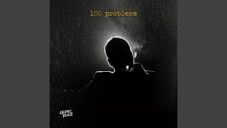 Details 100 Probleme Guide