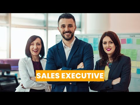 Sales Executive Job Description In Automobile Industry