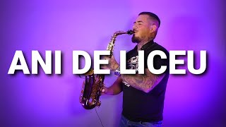 ANI DE LICEU - STELA ENACHE (saxophone cover by Mihai Andrei)