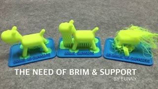 The need of brim and support for learning FDM 3D printer