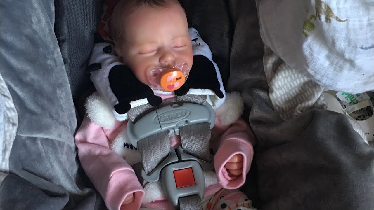 Reborn Day in the Life! Baby's First Outing and Haul! *Annalise* YouTube