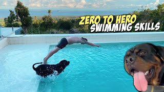Teaching Rottweiler Dog to Swim in Our New Pool - San Juan Festival Philippines