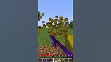 Minecraft Herobrine is So Kind 💖 - Hell