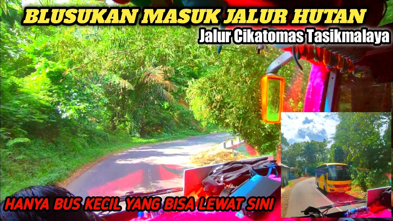 Bus Masuk Jalur Hutan !!! Bus Dirgahayu Tasik Cikalong Bus Pelosok Tasikmalaya