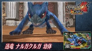 モンハン部幼体選手権　ナルガクルガ幼体