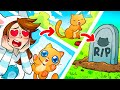 DALLA NASCITA ALLA MORTA DI UN GATTINO DIVERTENTE!