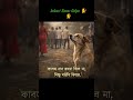 “Love Doesn’t Bark, It Stays#shorts#video#trending#foryou