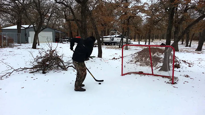 Backyard hockey