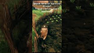 Valheim Carrot Farm = Unlimited Food? 🥕