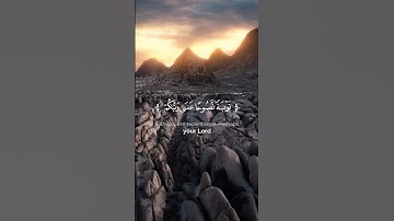 تلاوة عطرة من سورة التحريم بصوت القارئ ياسر الدوسري #قرآن #quran #تلاوة_خاشعة #اذكروا_الله_يذكركم