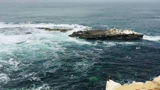 La Jolla, California with the seals and seagulls! Girls trip, Lori Cox Carver and  Me! 2017 