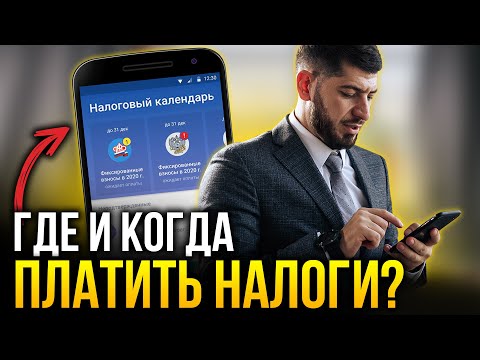 Как и когда платить налоги ИП? Процесс оплаты всех платежей в 2021 без бухгалтера