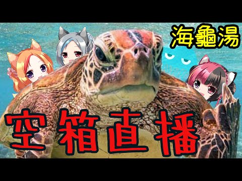 【空箱】龜剛欸！海龜湯猜謎！【KITSUNEKON】