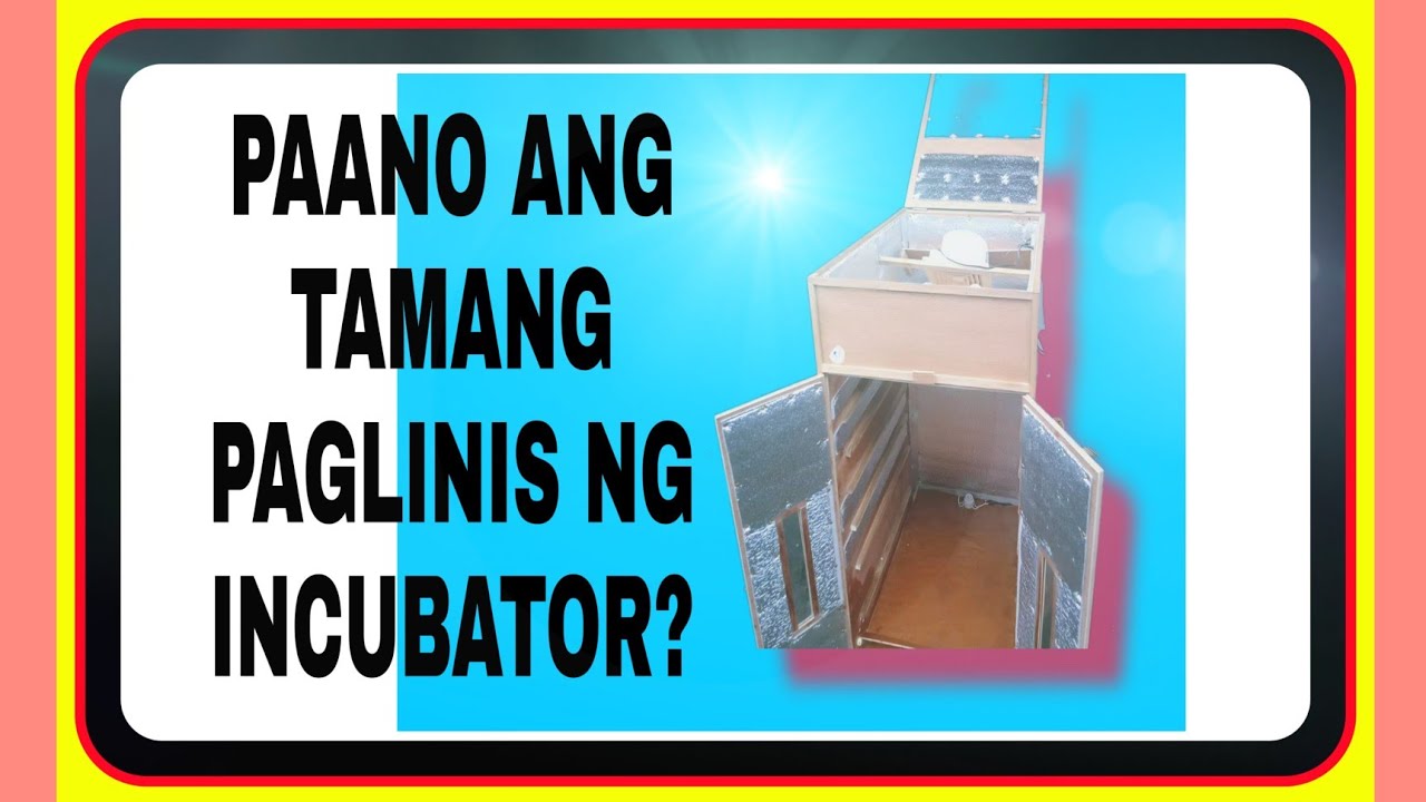 How to Disinfect and Clean Homemade Incubator YouTube