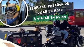 Cómo es viajar HELICÓPTERO con nuestros PERROS 😨 Motovlog al LAGO CALIMA