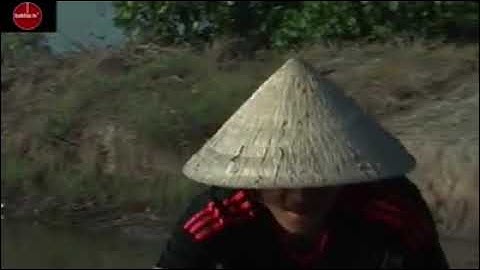 Cua Cà Mau tự nhiên.. dưới tán rừng ngập mặn