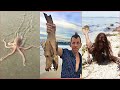 Catching Seafood 🦀🐙 Deep Sea Octopus (Catch Crab, Catch Fish) - Tik Tok #117