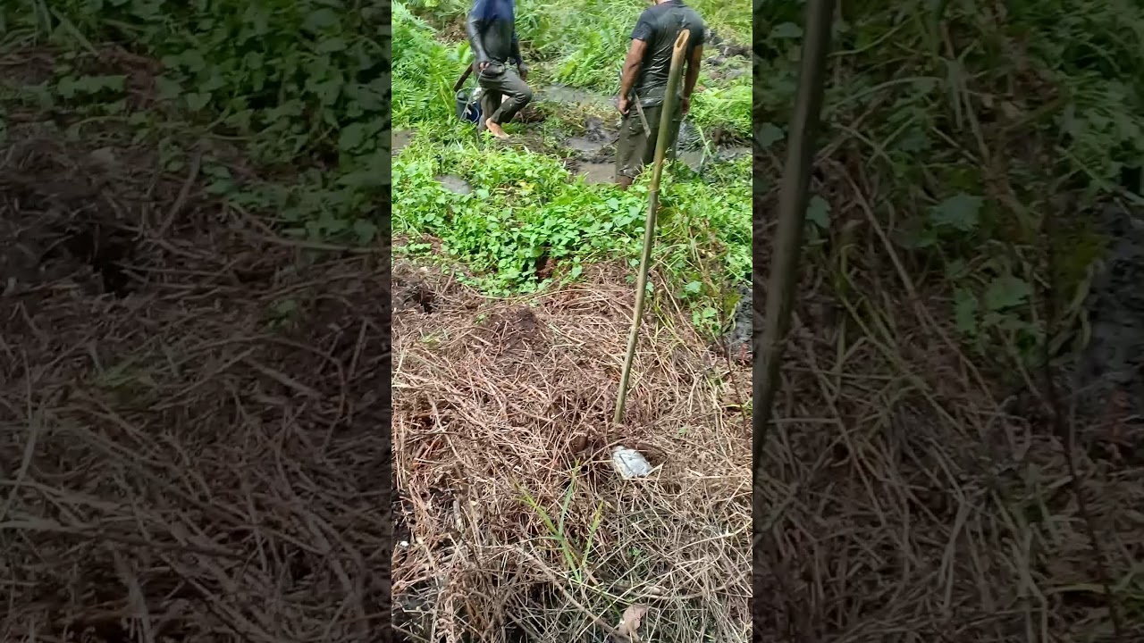 Cara-cara mencari labi2.... - YouTube