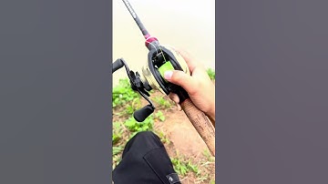 Bộ cần câu lure máy ngang#Shorts