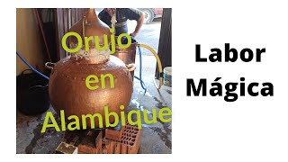 Orujo en Alambique Artesano Tradicional