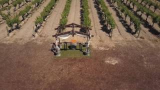 Moravia Wines Wedding Venue Fresno CA