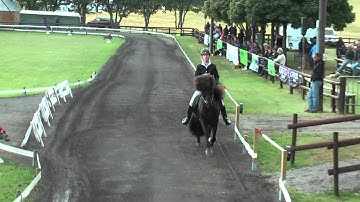 Sikill frá Sperðli, DIM11V1 (audio off)