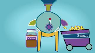 Proceso productivo de la caña de azucar