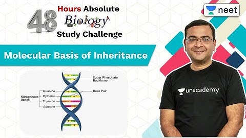Molecular Basis of Inheritance | 48 Hours Absolute Biology Study Challenge | Pradeep Singh