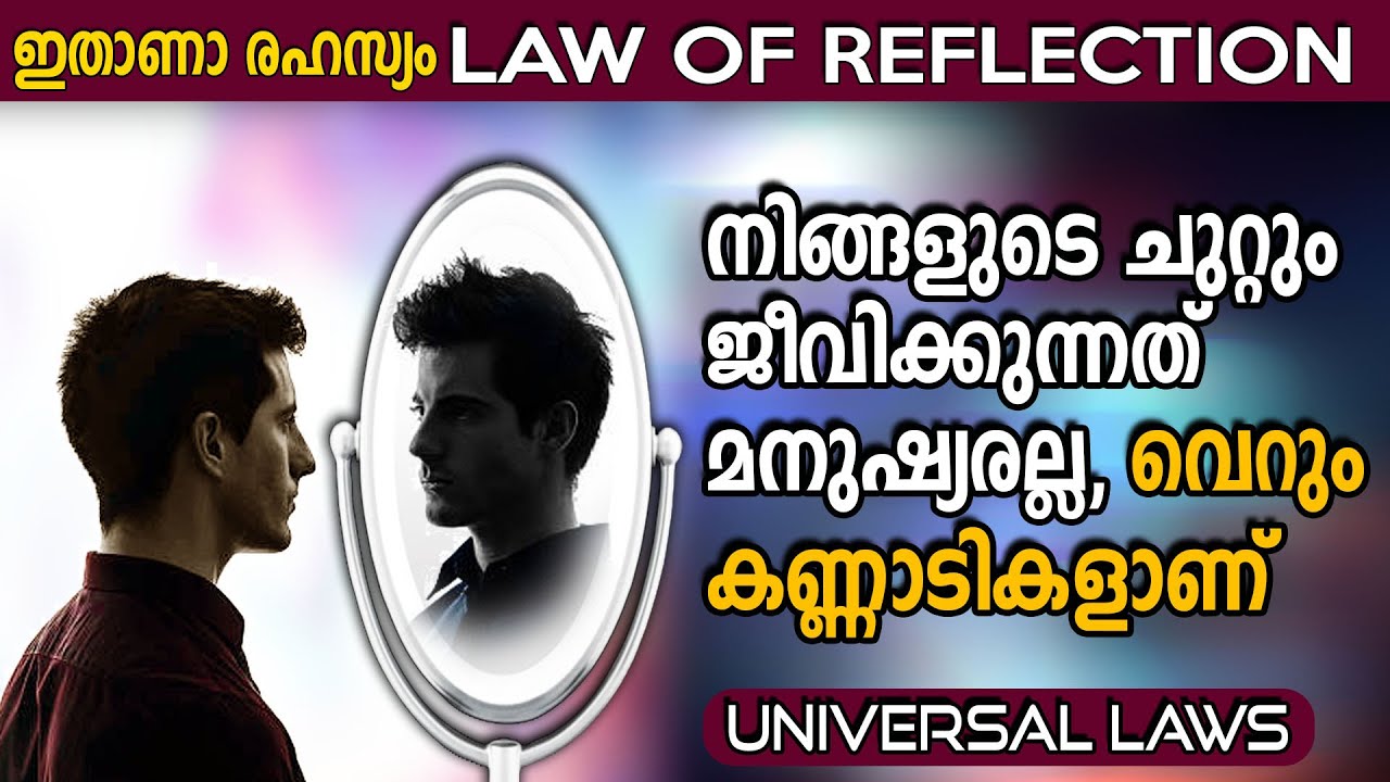 ആദ്യം മൃഗങ്ങളിൽ പരീക്ഷിച്ചുനോക്കൂ -  LAW OF REFLECTION - Universal Laws - Life Changing Affirmations