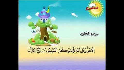 تلاوة سورة التغابن من آية (12) إلى آية (18)