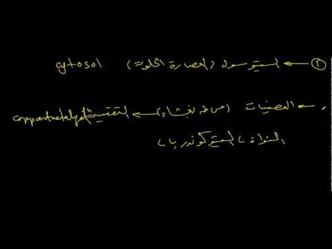 Cytoplasm ... السيتوبلازم