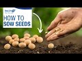 Get growing series how to sow seeds    royal city nursery