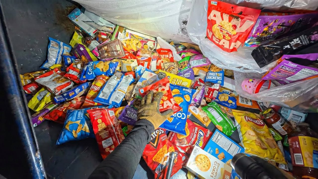 Поиски в мусорных контейнерах: «Они всё режут!»