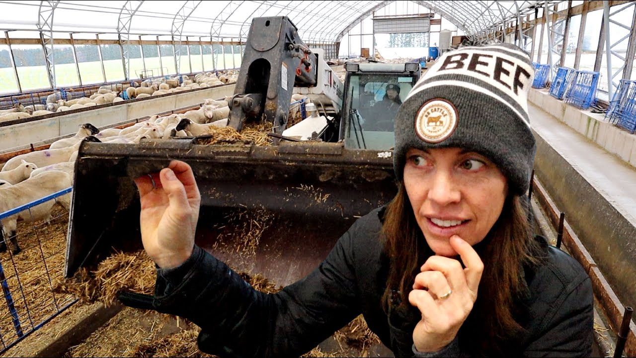 BLESS THIS MESS. (a winter barn cleanout💩) VLOGMAS 2020: Vlog 378 - YouTube
