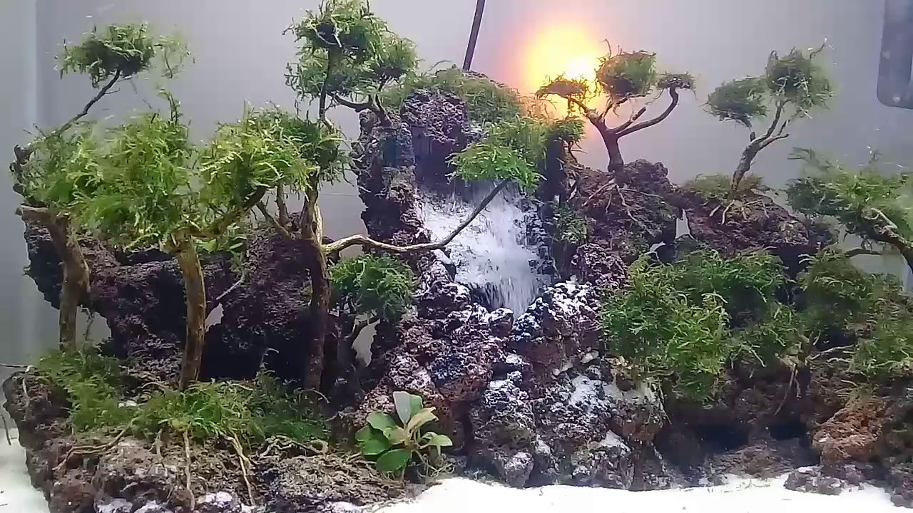 Aquascape air terjun - YouTube