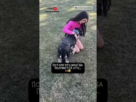 Случилась Любовь ❤️
