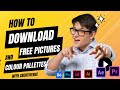 A10: Where to Download Free Pictures, Assets, Color Palettes for Adobe Illustrator | Cre8tiverse
