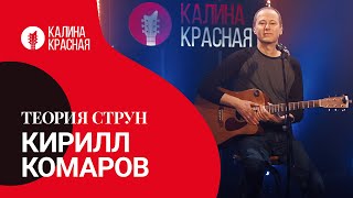 картинка: Теория струн. Кирилл Комаров.