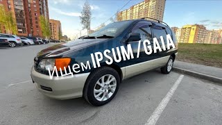 осмотр авто | Ipsum с гнилыми порогами от хозяина |Gaia с дымящим мотором от перекупа