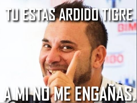 memes pachuca (2) tigres (1) ligamx clausura2016 jornada13 hqdefault memes pachuca (2) tigres (1) ligamx clausura2016 jornada13,Memes Tigres