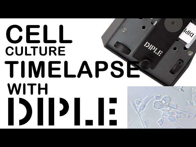 Cell culture timelapse with DIPLE