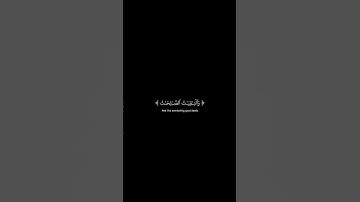 ويزيد الله الذين اهتدوا هدى | كرومات قرآن كريم بصوت #عبدالرحمن_مسعد | #سورة_مريم