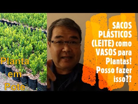 Vídeo: Cultivando Plantas Sob Sacos Plásticos – Como Usar um Saco Plástico Como Estufa