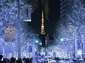 六本木あたり☆あい&優☆Cover by tonko♪