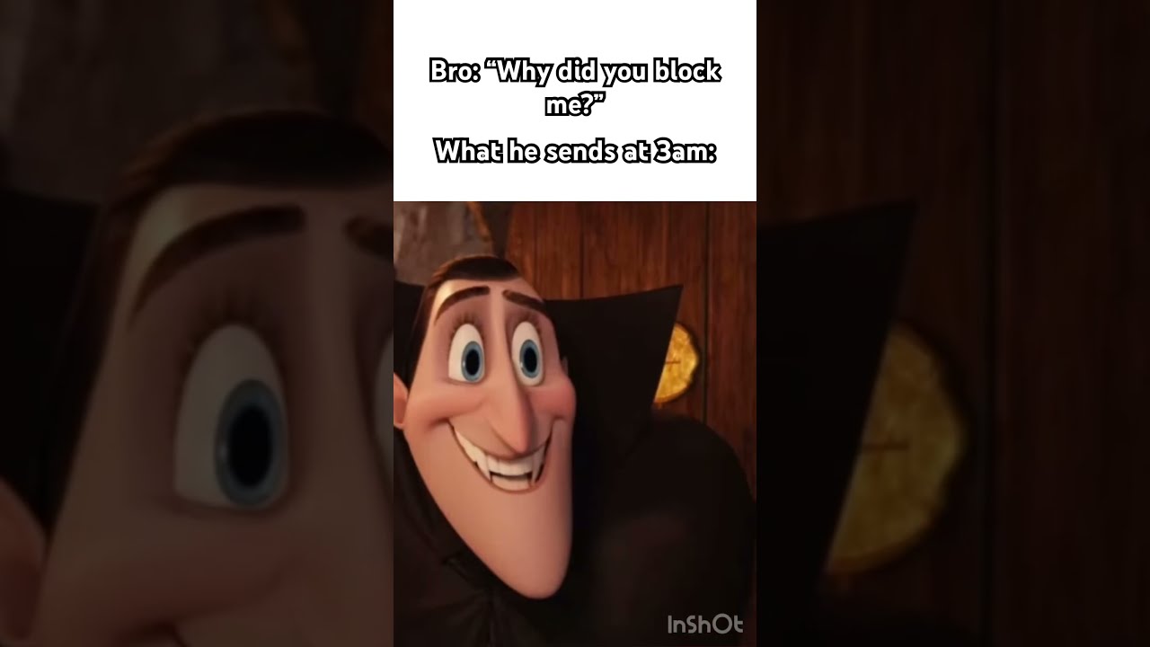 What Bro Sends Me At 3am Meme Funny