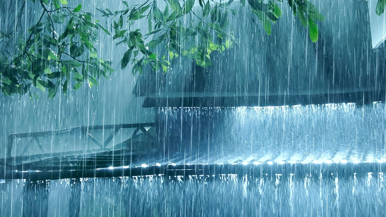 Rain Sounds to Lull You to Sleep | Heavy Rain with Gentle Thunder on Rainy Night in the Forest