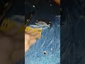 late night gel coat sanding #skeeter #fish #boat #nevergiveup #youtubeshorts #fyp #water