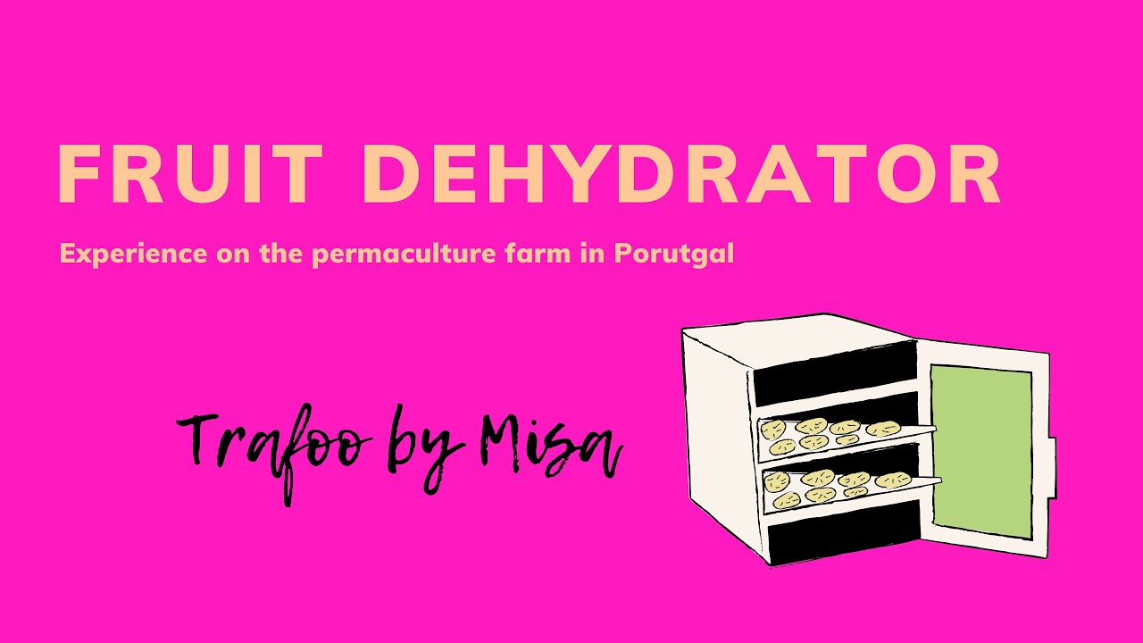 how-to-make-a-fruit-dehydrator-jak-vyrobit-su-i-ku-na-ovoce-cz
