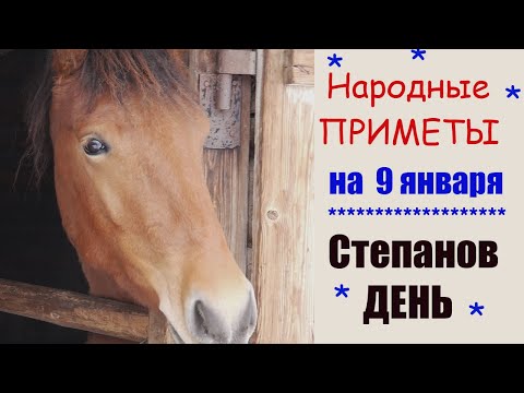 9 ЯНВАРЯ по народному календарю СТЕПАНОВ ДЕНЬ, ПО ЦЕРКОВНОМУ - СТЕФАНА ПЕРВОМУЧЕНИКА. Приметы