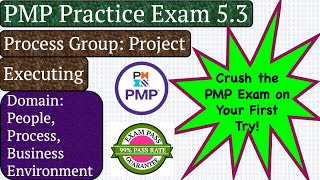 PMP Practice Exam 5.3, Process Group: Project Executing, Domain- All